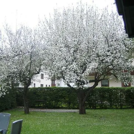 Ferienhaus Irma Fuegen